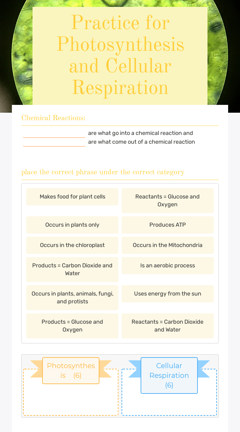 The process by which … Practice For Photosynthesis And Cellular Respiration Interactive Worksheet By Susan Hammond Wizer Me