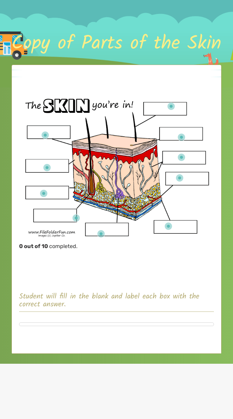 13.07.2018 · like eye color, skin color is an example of polygenic inheritance. Copy Of Parts Of The Skin Interactive Worksheet By Jamillah Vallare Wizer Me