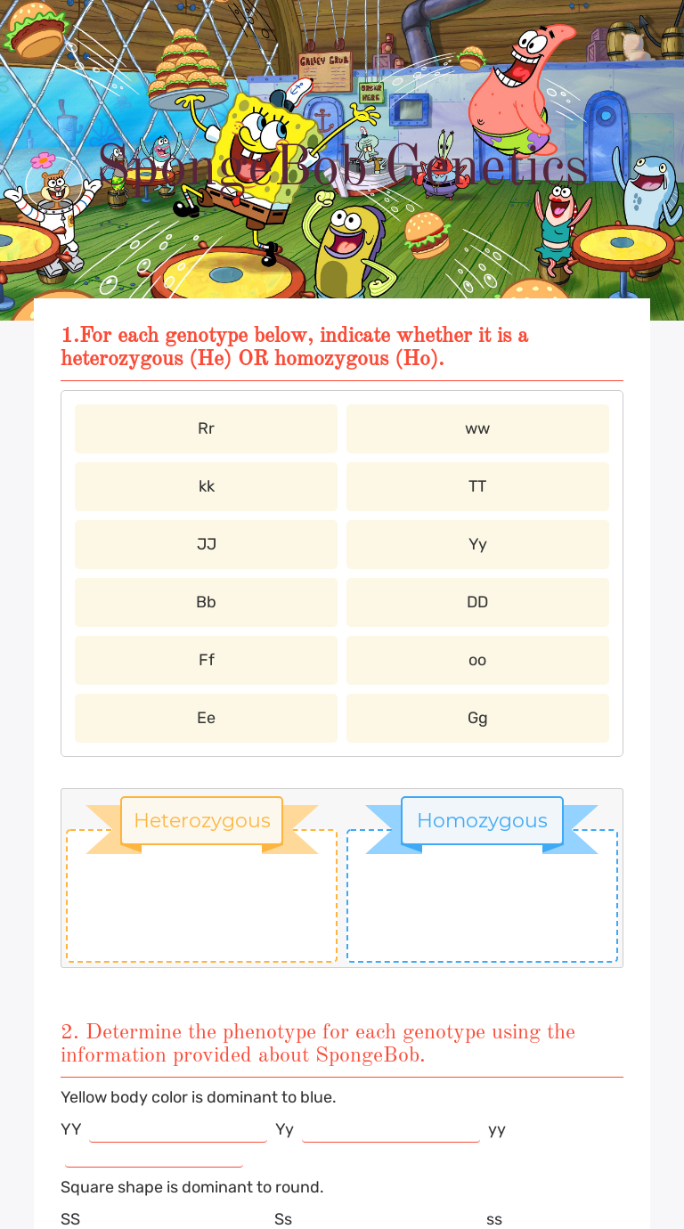 Help you answer the questions. Spongebob Genetics Interactive Worksheet By Ashley Taylor Wizer Me