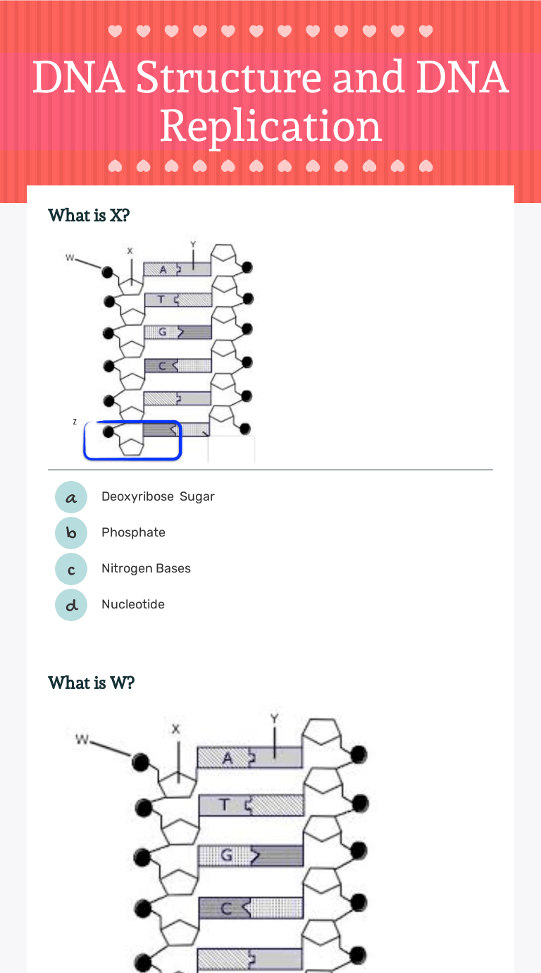 A quiz and a worksheet. Dna Structure And Dna Replication Interactive Worksheet By Danielle Mckenzie Wizer Me