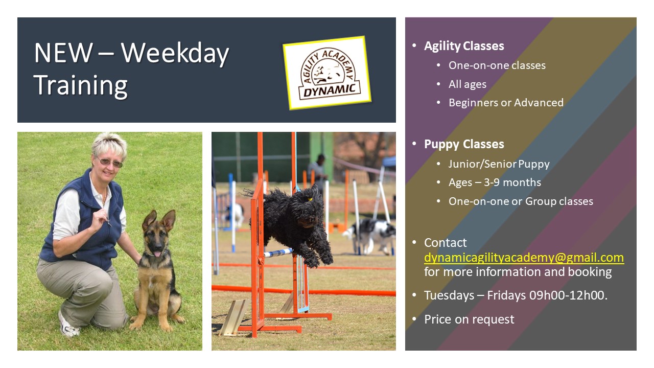 Weekday Training