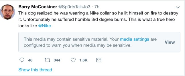 DogNike