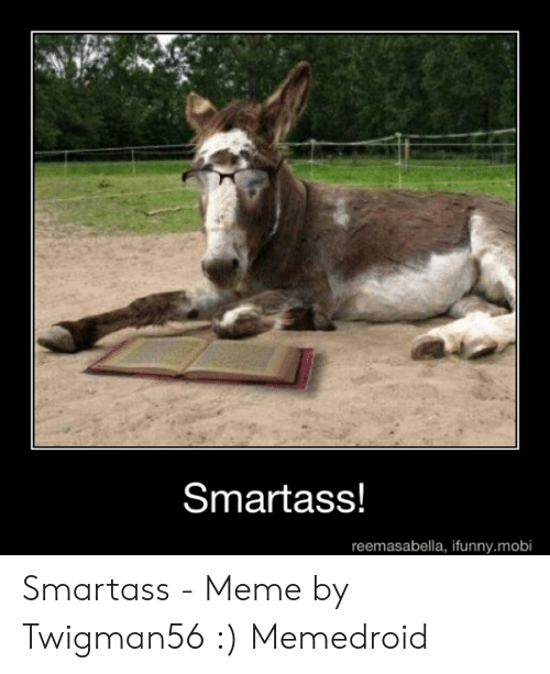 Smartass
