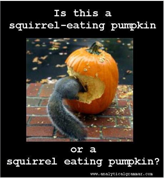 SquirrelPumpkin