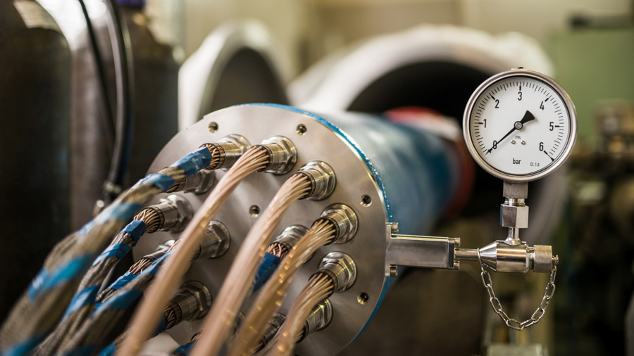 How do you use a dynamometer?