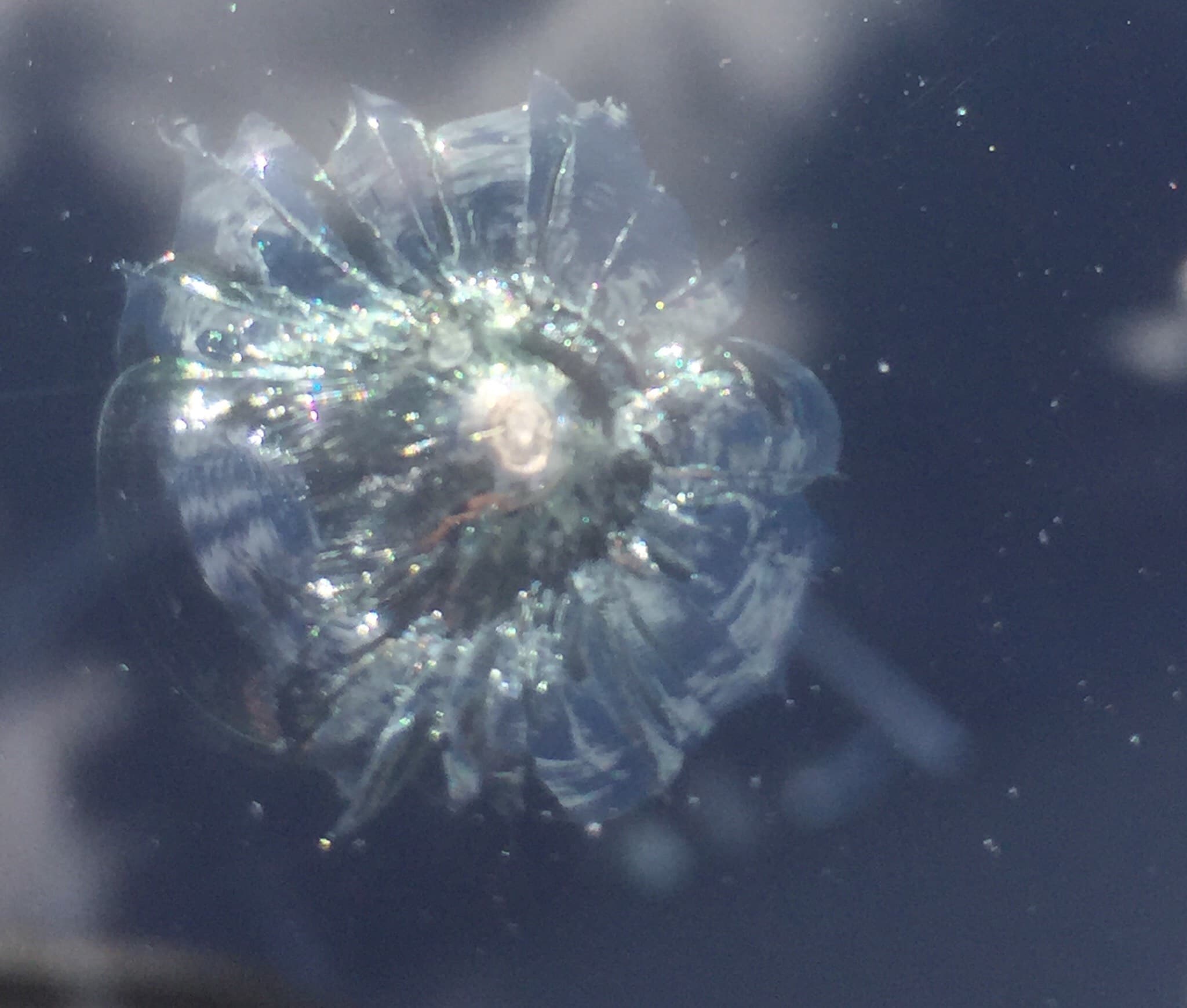 The average windshield chip repair cost is $35 with the average cost to fix a chipped windshield or window ranging from $10 to $60 in 2021, . Windshield Chip Repair Cost Rock Chip Repair Dynamo Windshield Repair