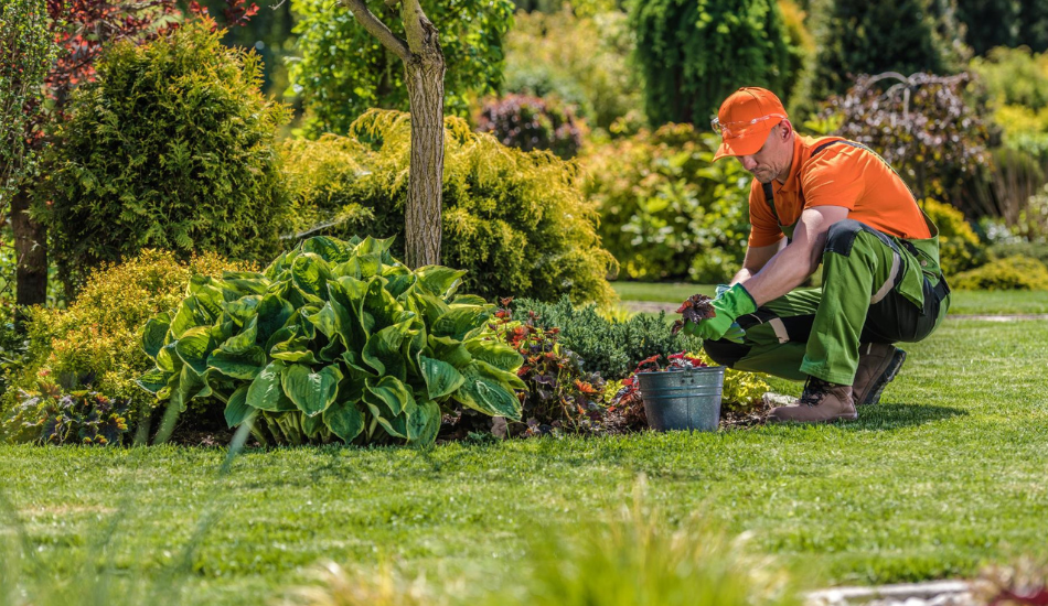 Corporate Social Responsibility Tree Planting for a Sustainable Future 2 how does csr work