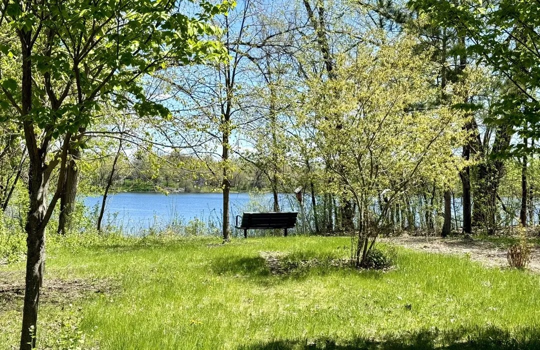 Do You Need a Permit to Remove a Tree in Hennepin County? City-by-City Guide 1 Wooded Twin Cities park with mature trees along a lake shoreline