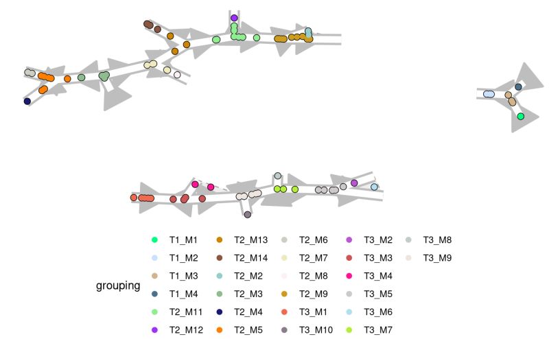 Plot A Trajectory And Cellular Positions As A Graph Dynverse - Download Artistic Colorful Picture | Desktop