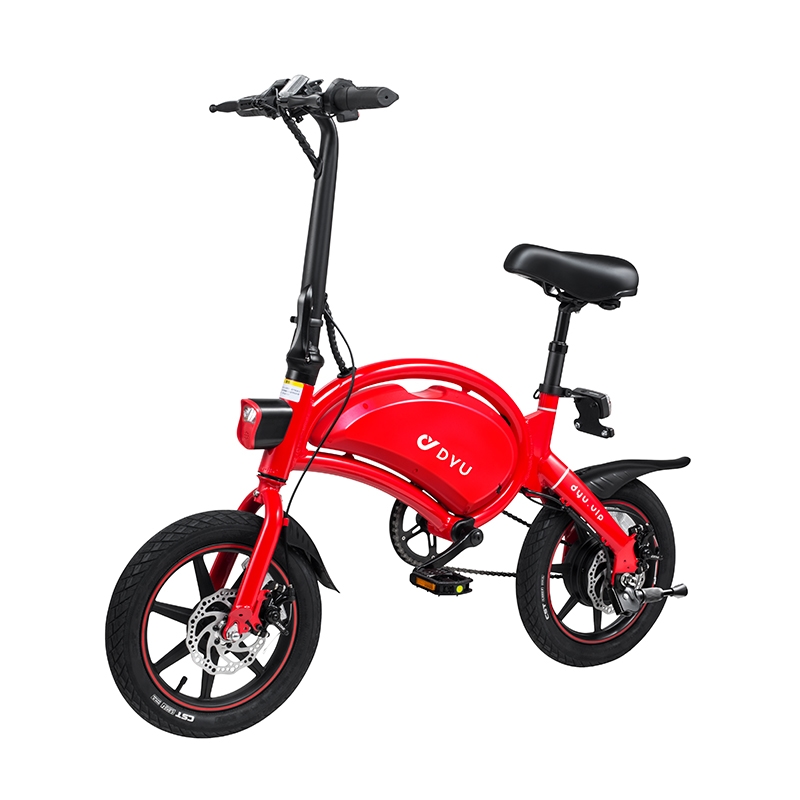 dyu electric bike battery