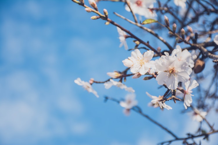 How to use spring in a sentence. This Week In Spring Spring Framework 5 2 Release And More Dzone Java
