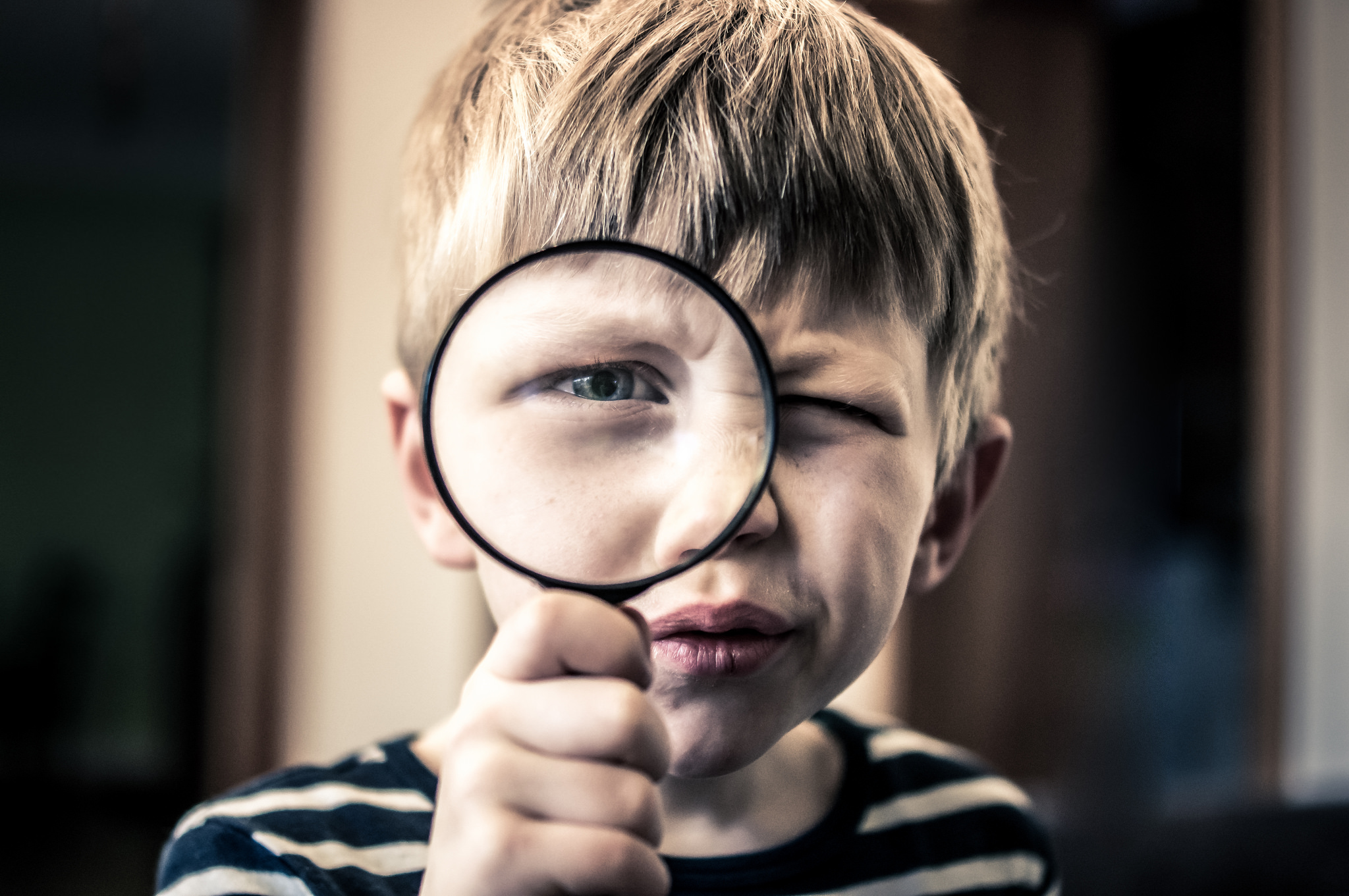 Appraisers License Verificaiot
