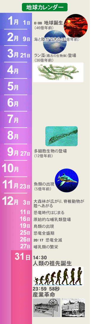人類誕生年 1 先史時代の世界 人類の起源 移動地図 年表 Tkdwrn