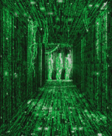 matrix