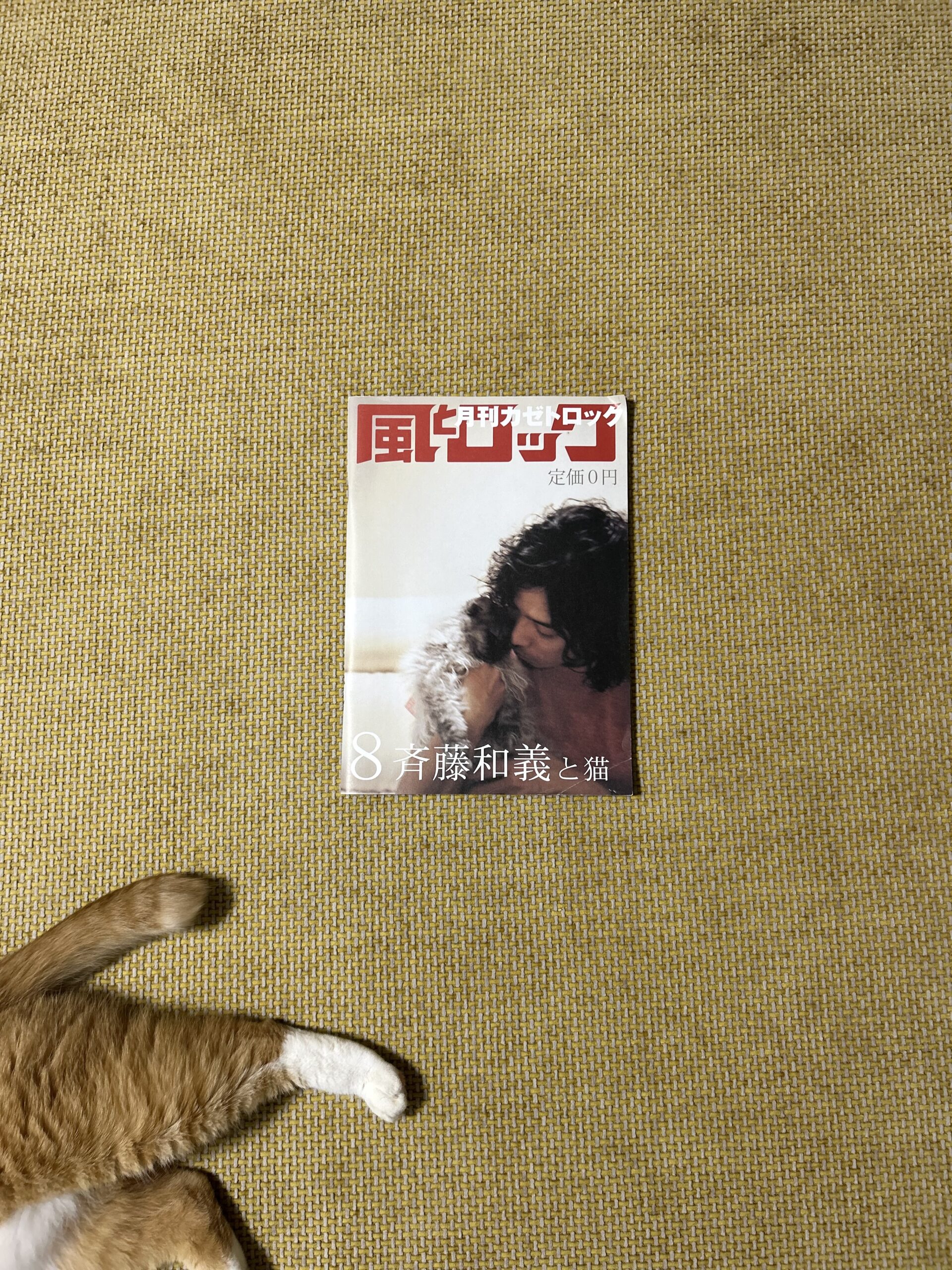 ちびまる子も観ちゃうんだよな