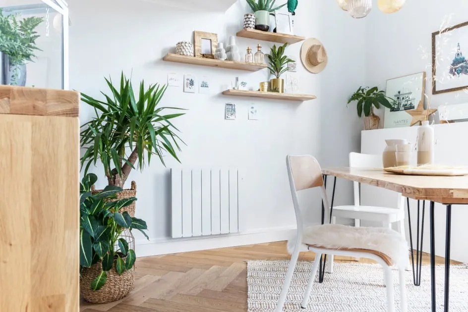 Radiateur PEGASE applimo