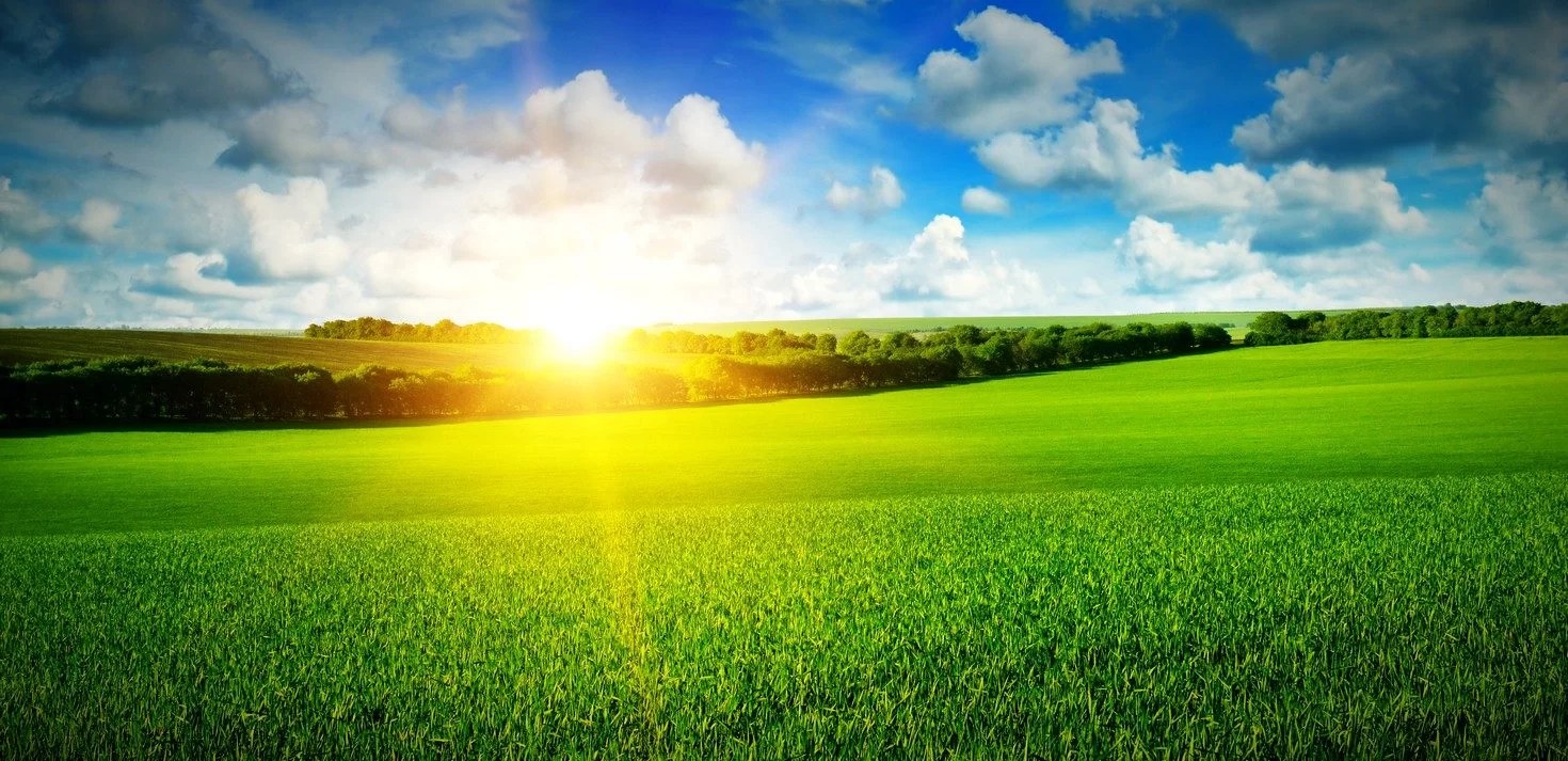 Salmo 8 - Oh, Jehová, ¡Qué majestuoso es tu nombre en toda la tierra!