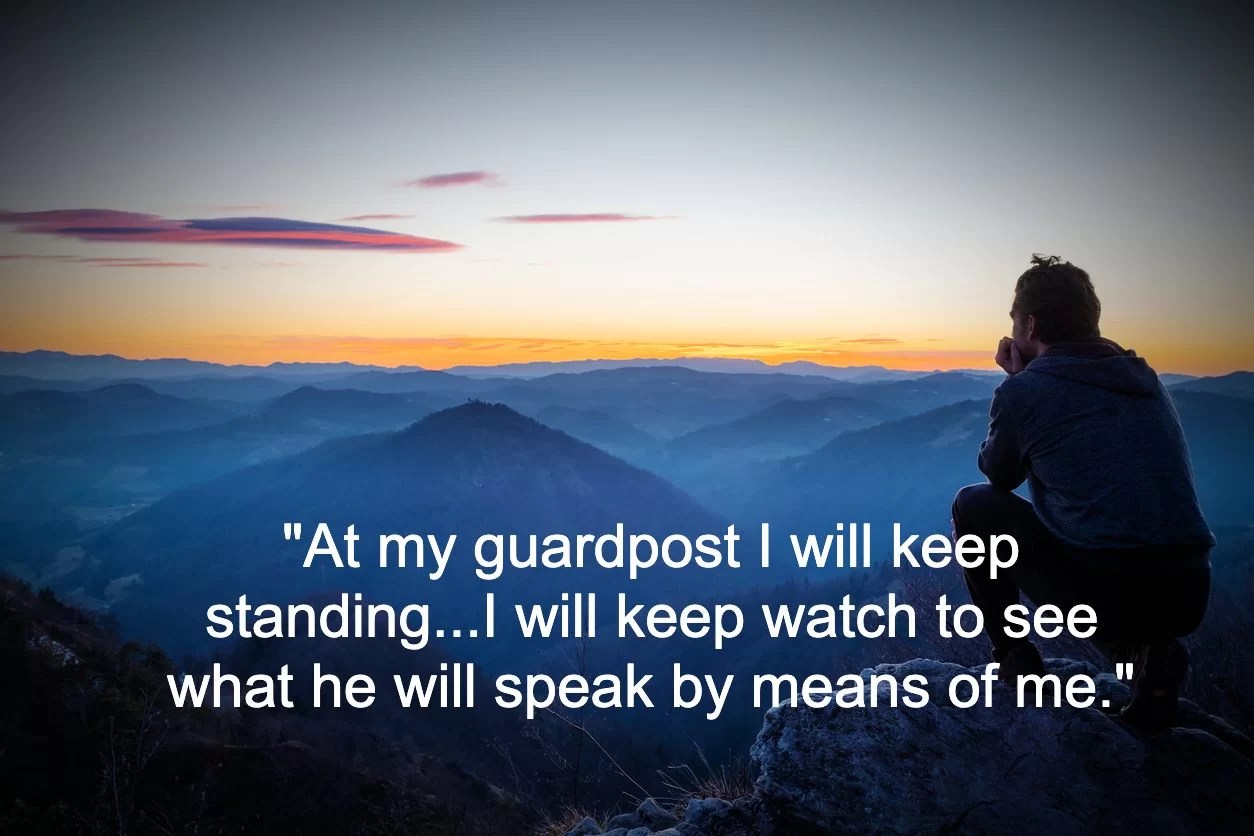 20 años como el centinela de Jehová