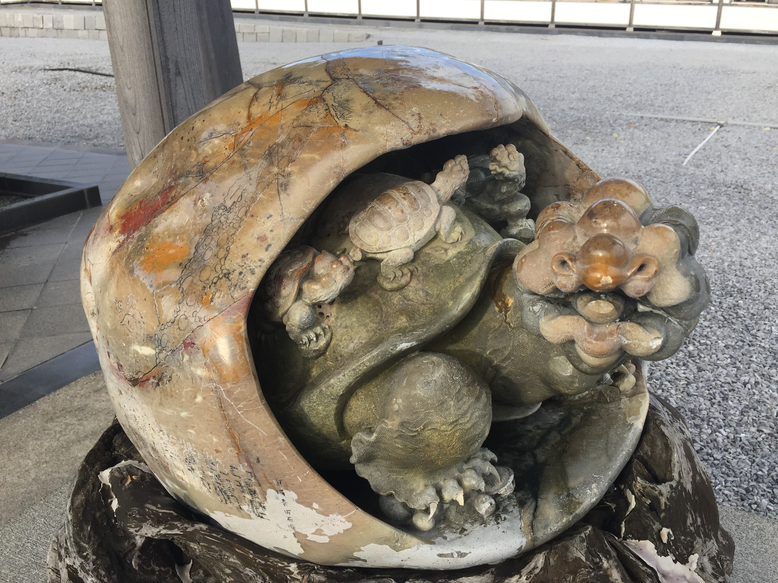 なんだ？このカメはっ？？