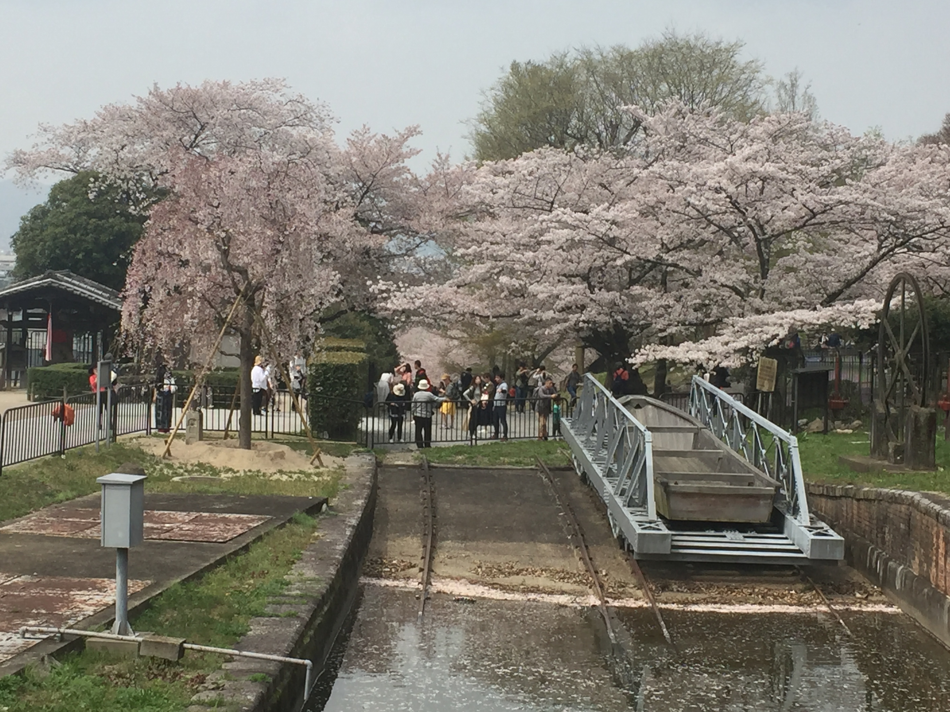 船を運ぶのです