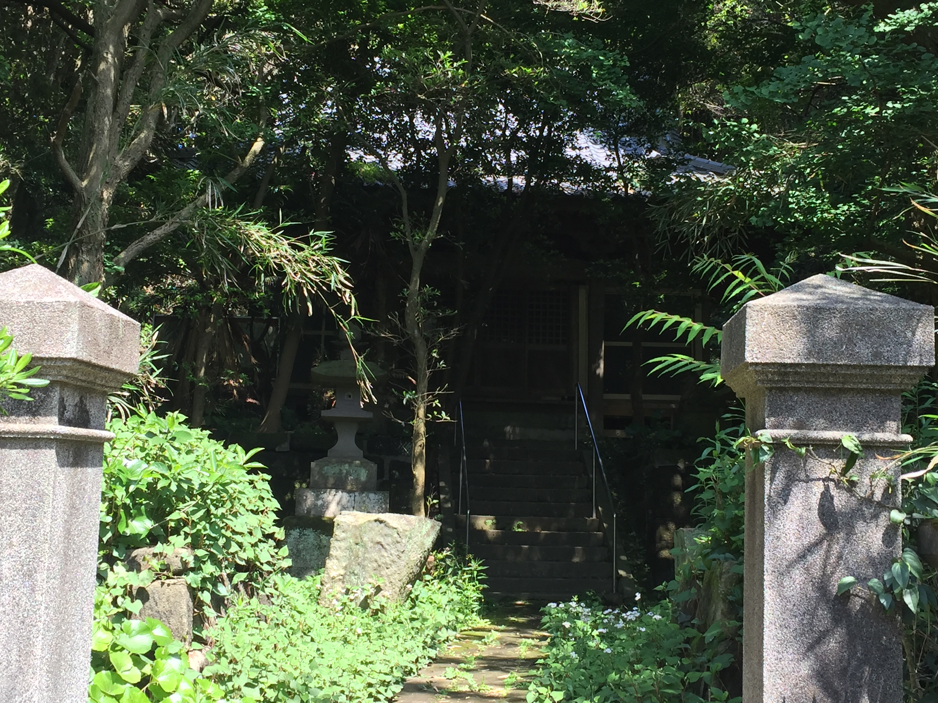 白浜に沙門てん