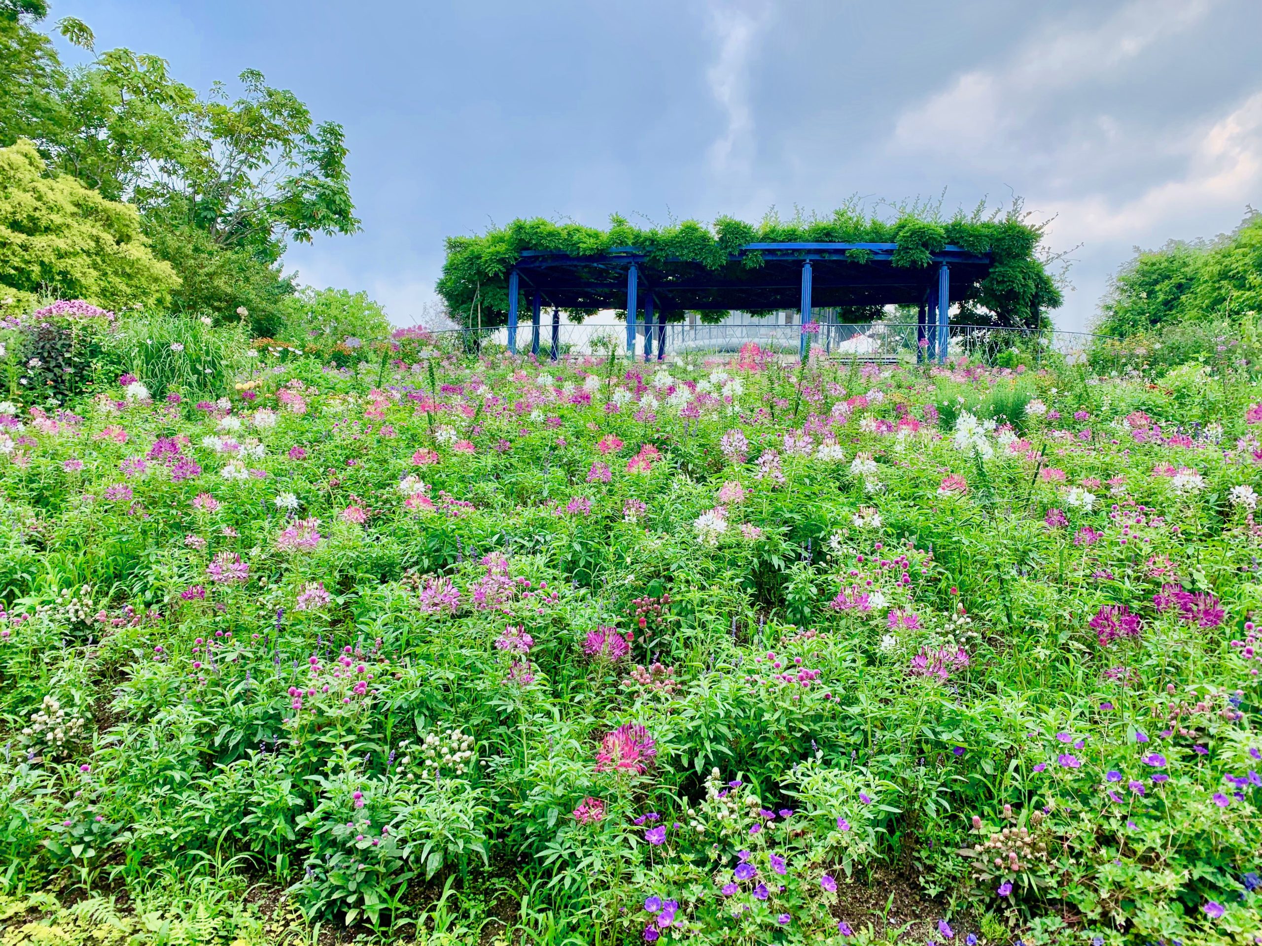 ガーデンミュージアム比叡