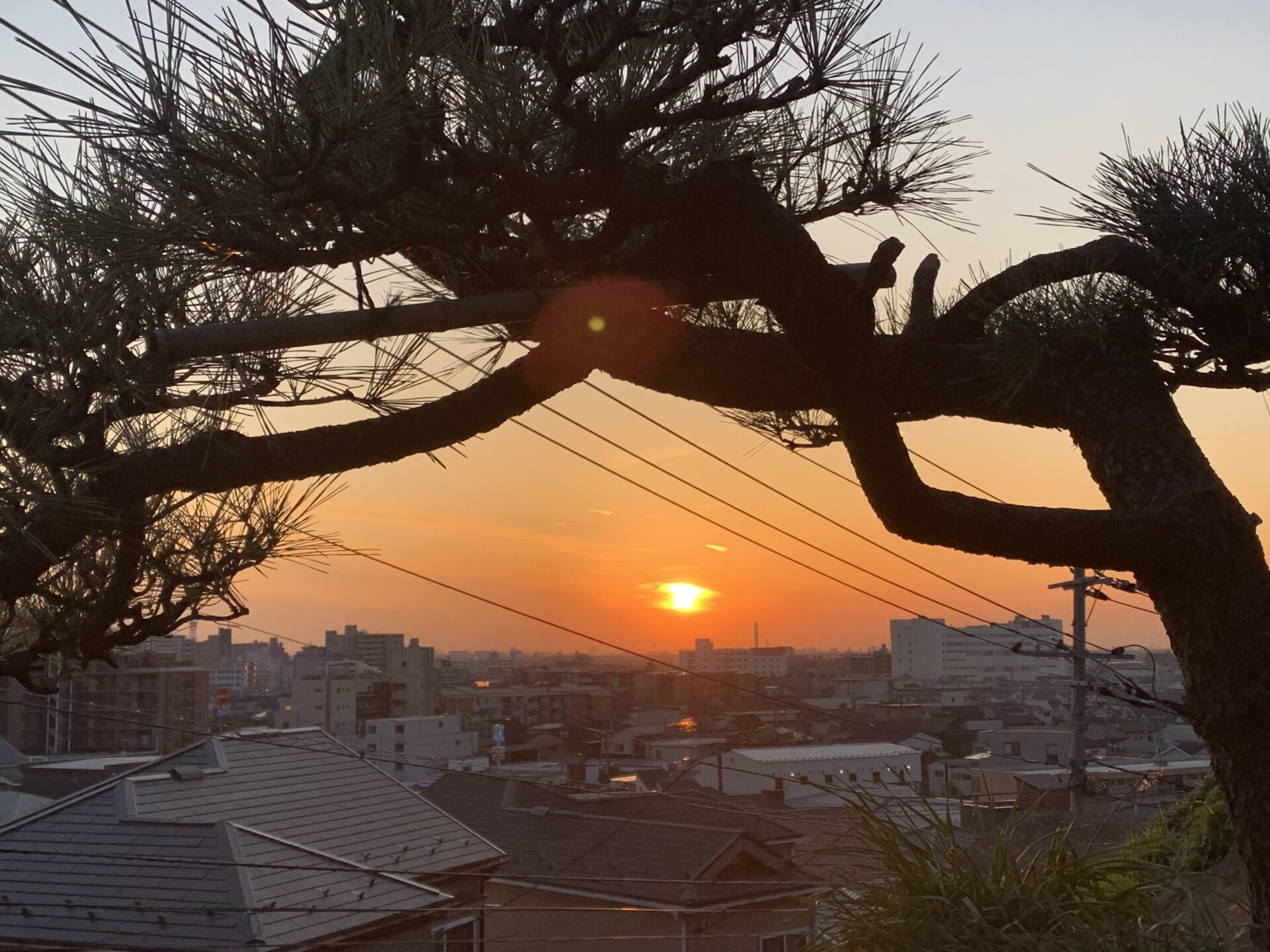 本覚寺からの眺め