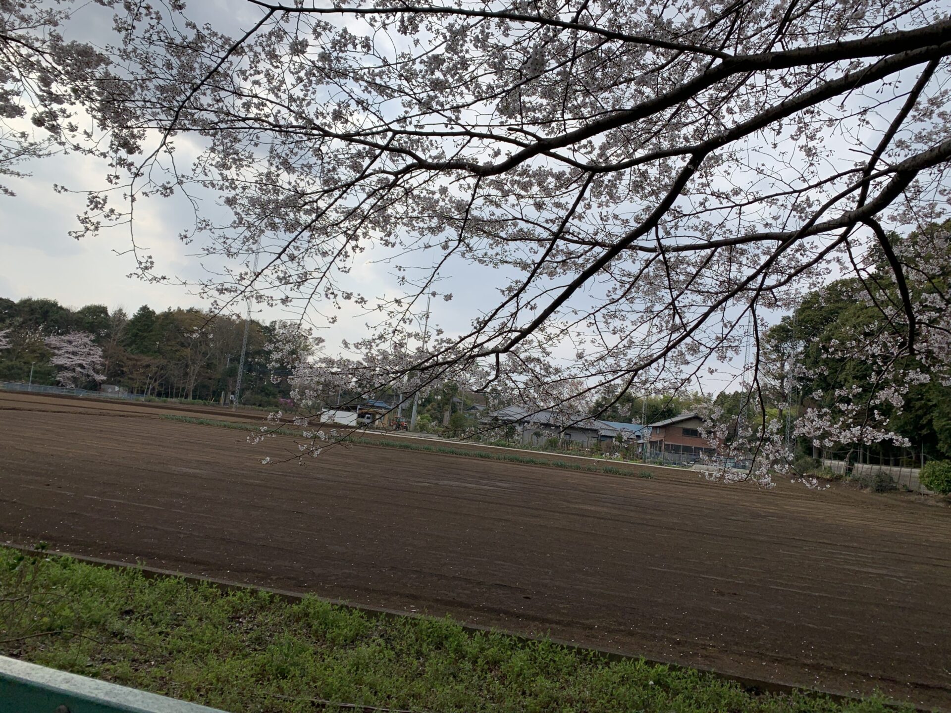 千駄堀の大きな鉄塔のあるお家