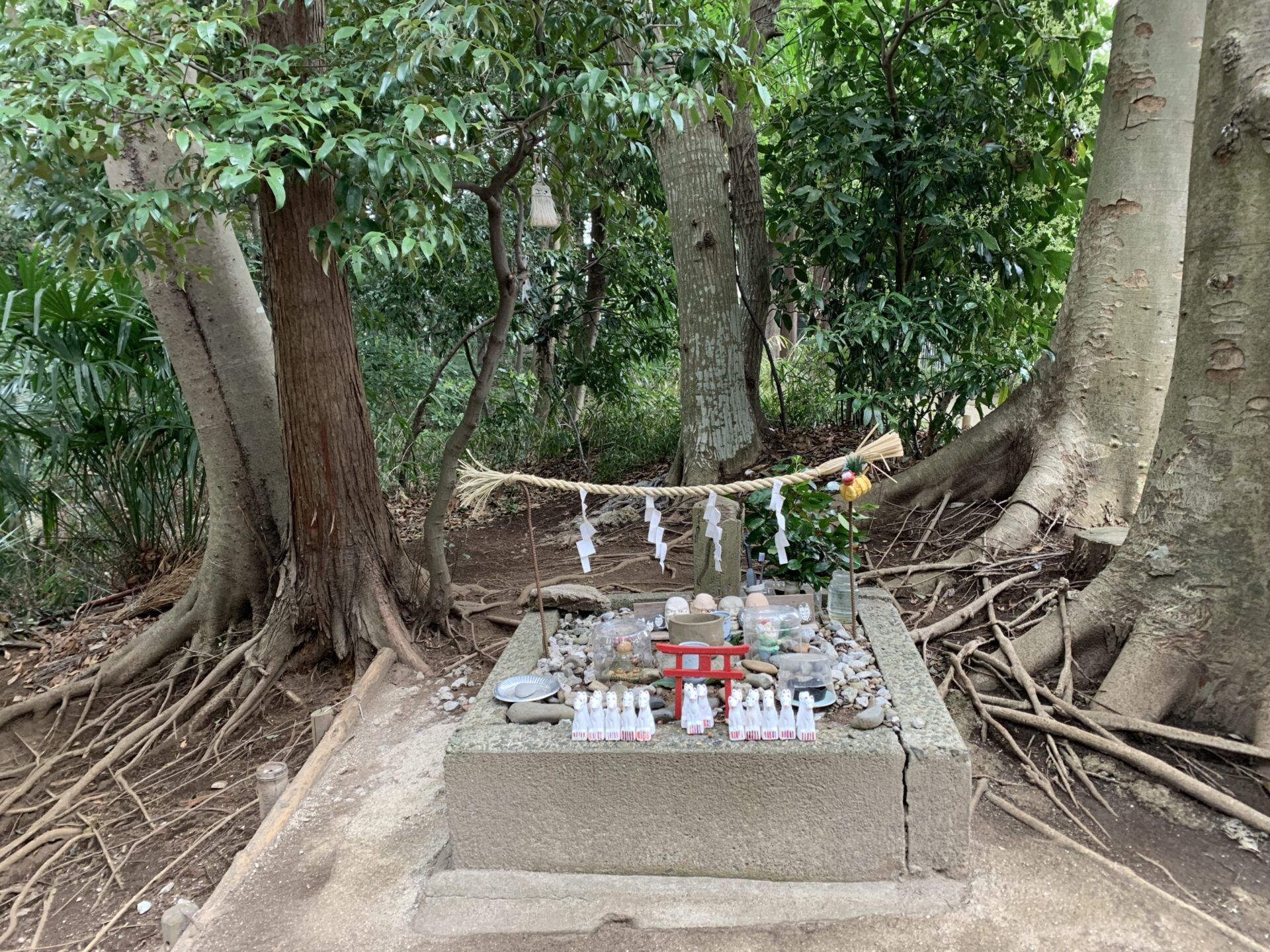 ２１世紀の森公園にあるお稲荷様