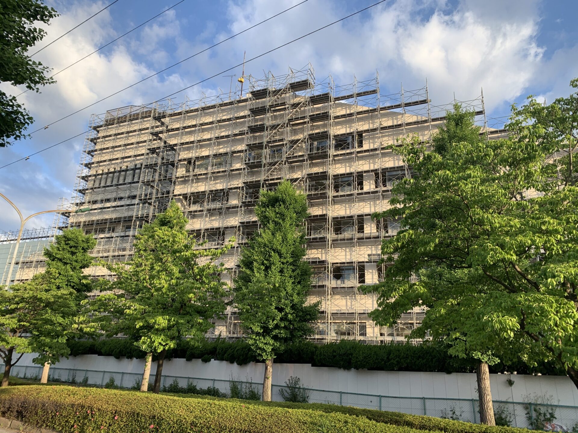 足場が組まれました