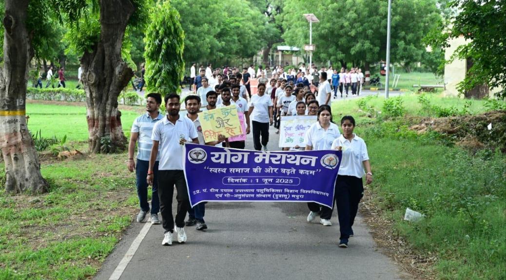 पं० दीनदयाल उपाध्याय पशु चिकित्सा विज्ञान विश्वविद्यालय एवं गो अनुसंधान संस्थान द्वारा योग मैराथन का आयोजन