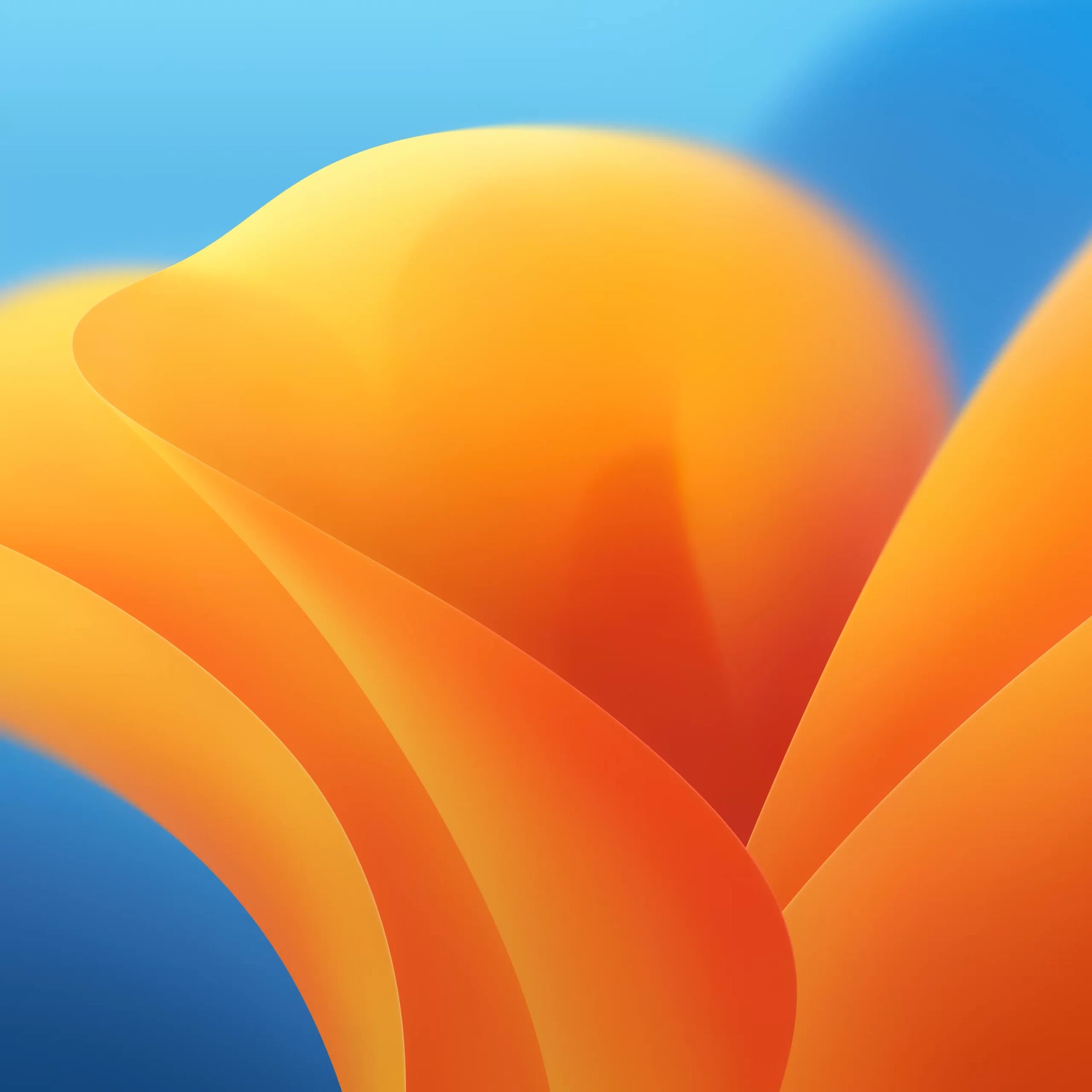 macOS-13.0-Wallpapers-Mohamedovic.com-2