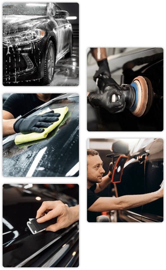 Rear quarter of vehicle after ceramic coating in Houston