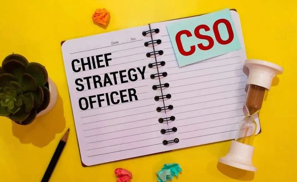 Chief Strategy Officer Job Description Salary Duties More