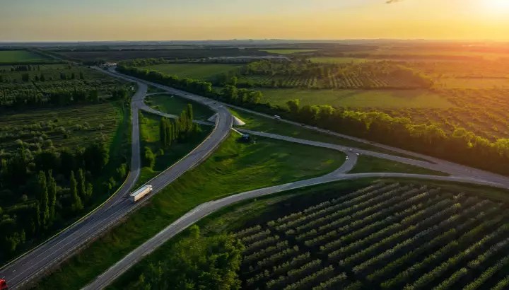 Partner Content Edie - Premium Geometric Pattern Gallery - High Resolution