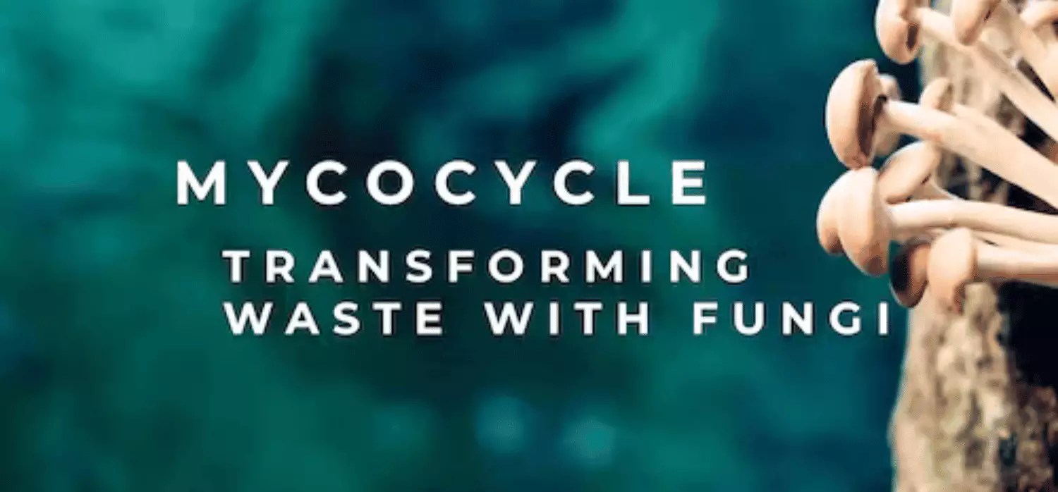 Sustainable Infrastructure Springwise - Landscape Photos - Amazing Full HD Collection