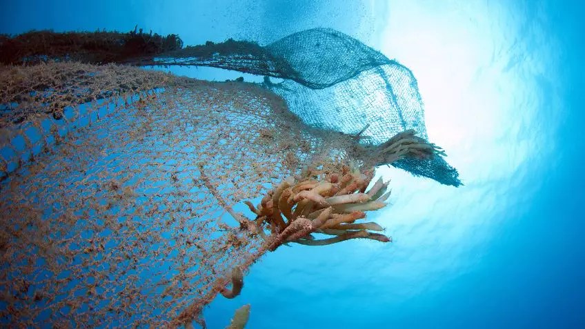 Circular Materials And Processes Springwise - Gorgeous Vintage Image - Full HD