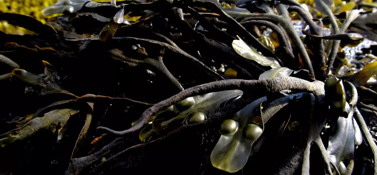 Tech Explained Springwise - Colorful Arts - Gorgeous High Resolution Collection