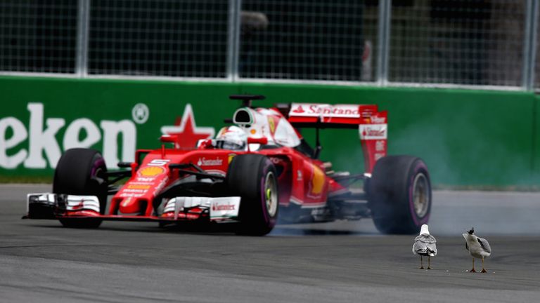 Canadian Gp Extended Highlights Video Watch Tv Show