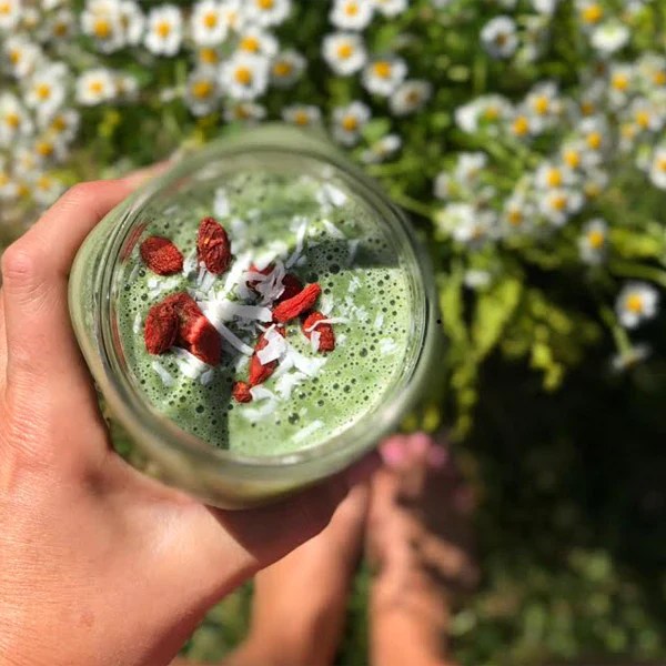 Immunity Boosting Smoothie E3live