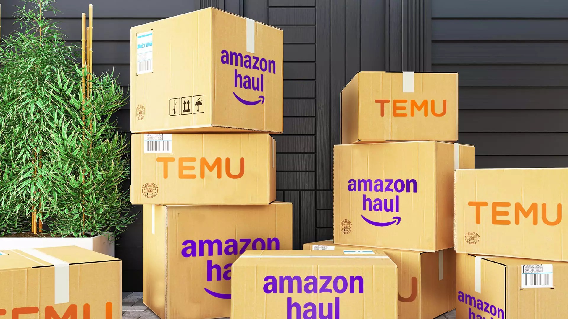 7 Reasons Amazon’s Haul May Struggle as It Goes Global