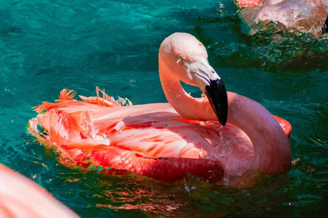 Cape Town Water Crisis A Looming Disaster African Sahara - Geometric Wallpaper Collection - 8K Quality