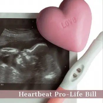 Heartbeat Bill