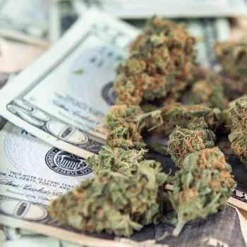 Pot Money