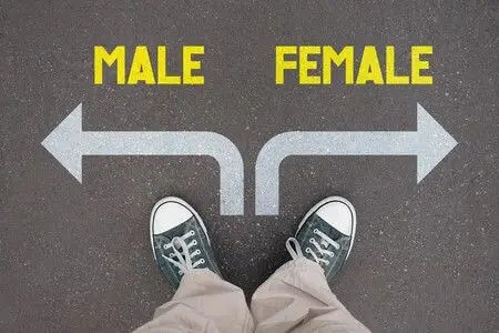 Male or Female