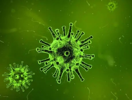 coronavirus