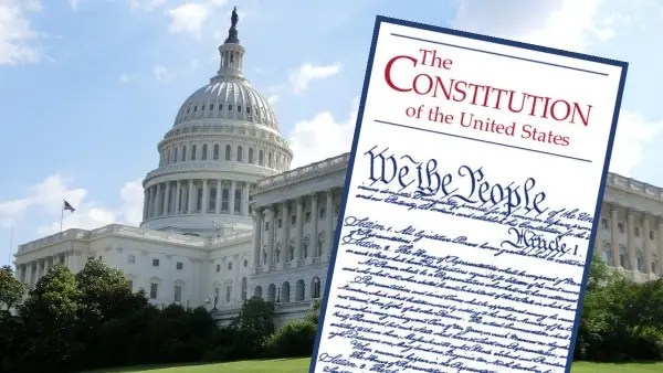 Pocket Constitution