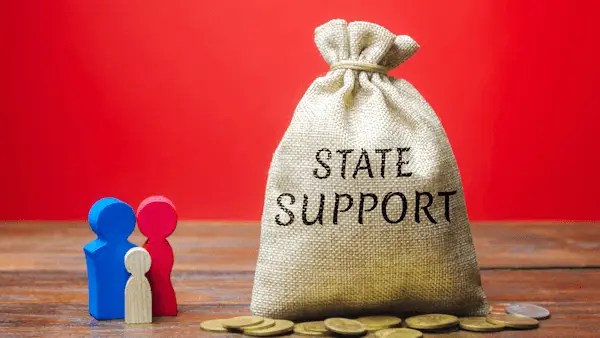State Support