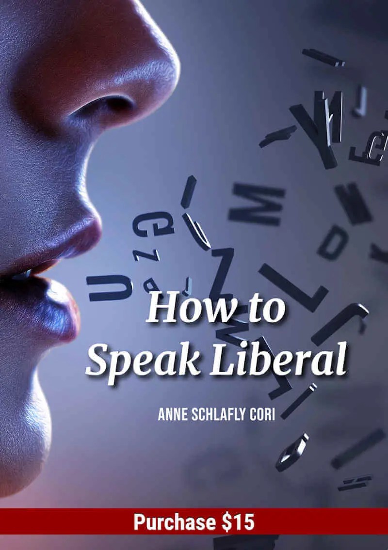 How to Speak Liberal