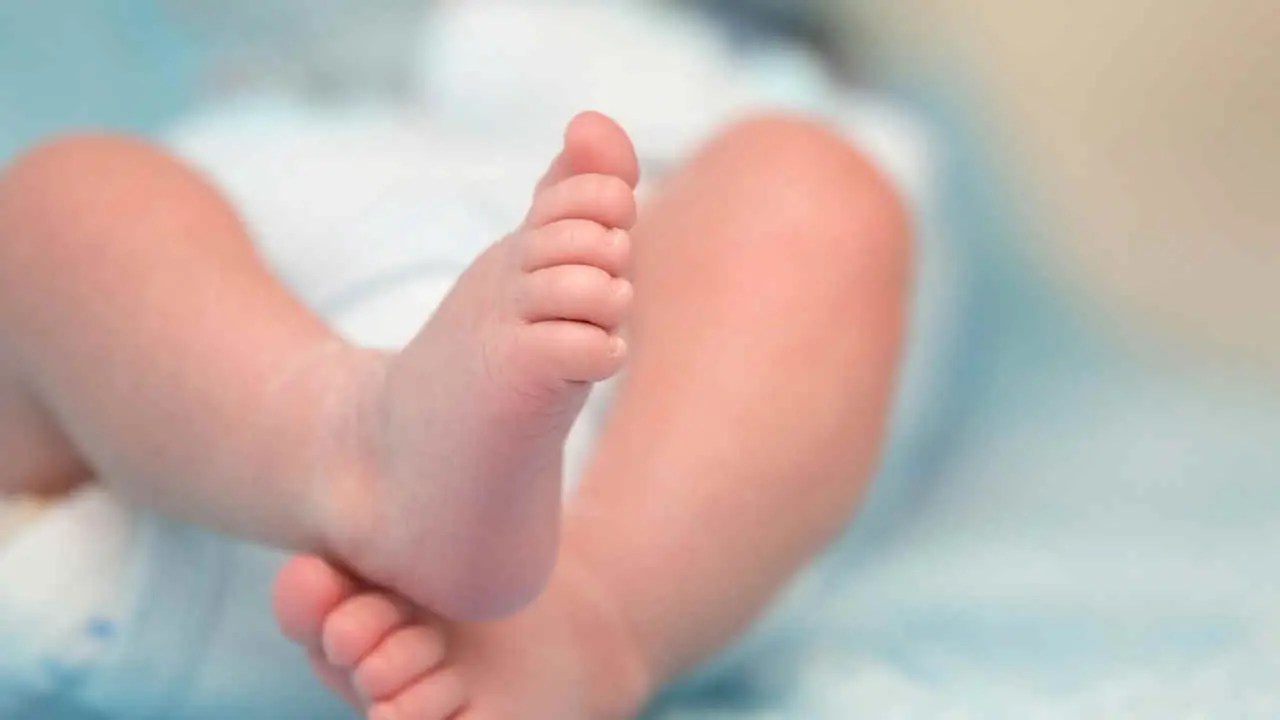 Pro-Life